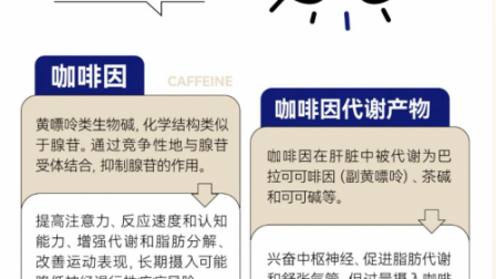 喝下一杯咖啡,身体会发生什么变化?(尤其是开工迷糊人)