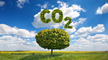 什么是碳交易、讲述碳交易市场交易基本原理